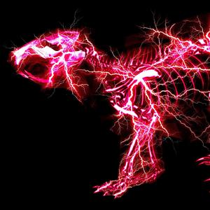 女人张开腿让男人通 
